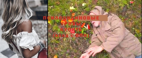 винт Володарск
