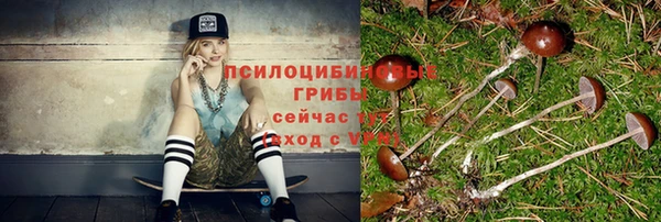 прущие грибы Волосово