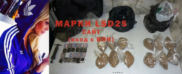 прущие грибы Волосово