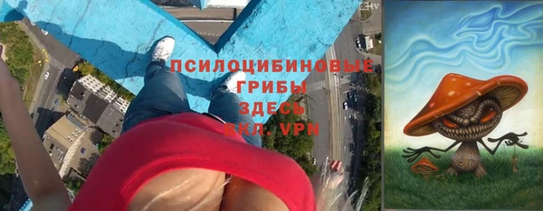 прущие грибы Волосово