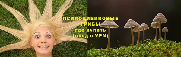 прущие грибы Волосово