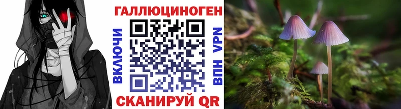 Галлюциногенные грибы Psilocybe  Находка 